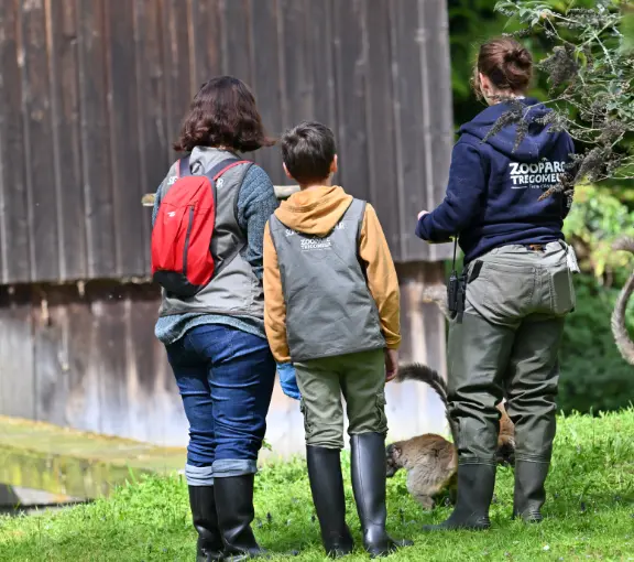Soigneuse et participants observant les animaux dans un enclos