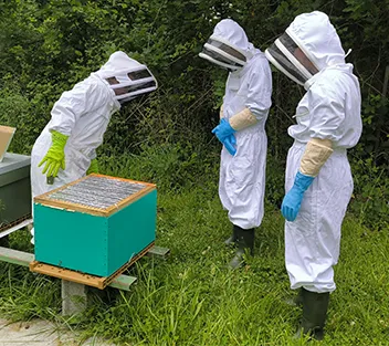 Groupe en tenue d'apiculteur autour d'une ruche turquoise, idée de carte cadeau apiculteur d'un jour