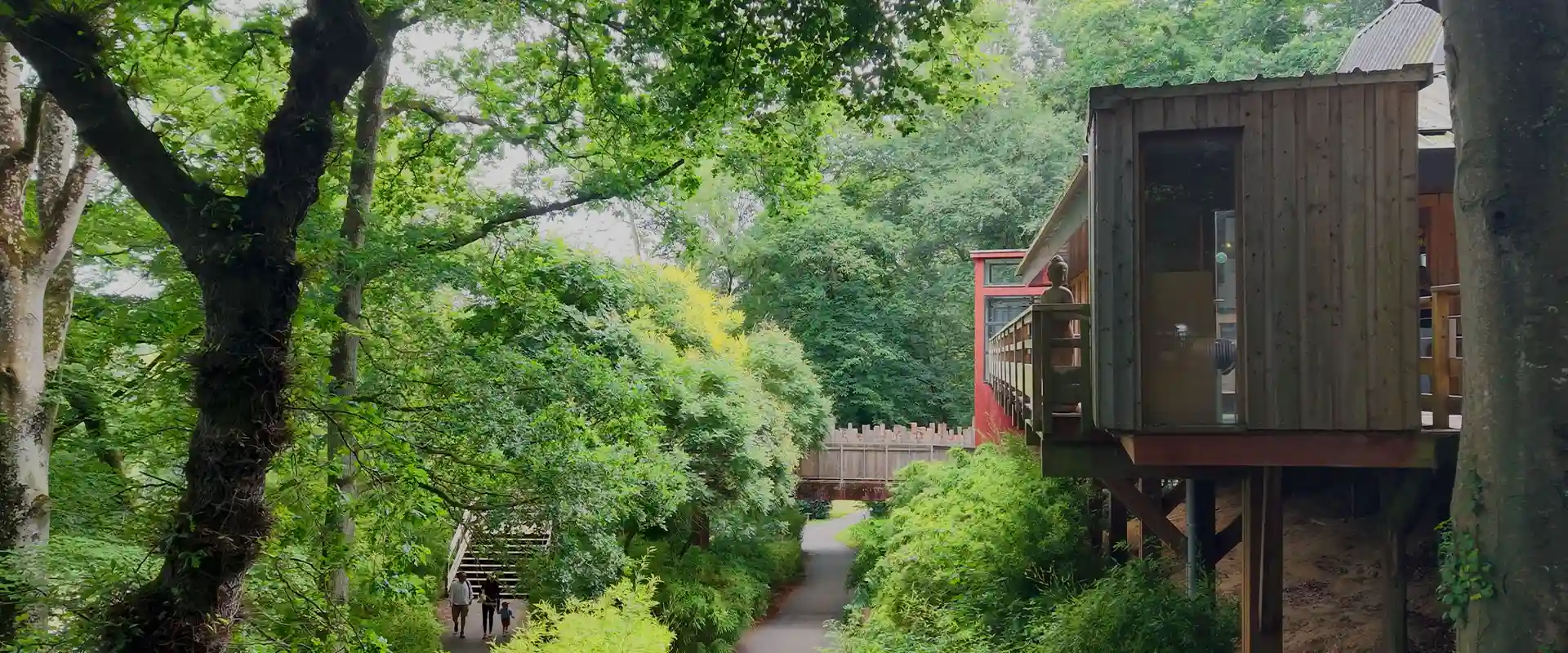 Wooden cabin on stilts surrounded by vegetation at the ZooParc