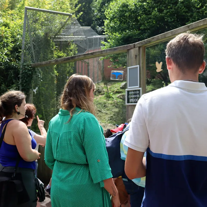 Visitors gathered in front of an enclosure during a feeding activity