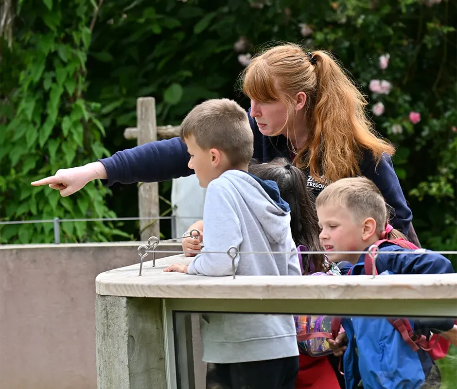 Anniversaire au ZooParc de Trégomeur