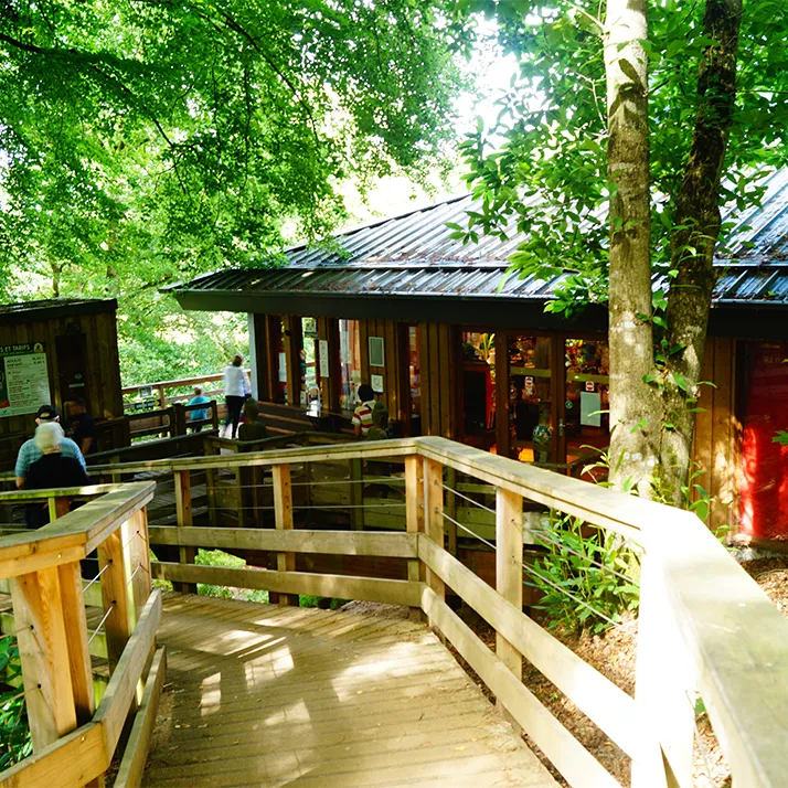 Wooden walkway leading to the ZooParc shop, surrounded by trees