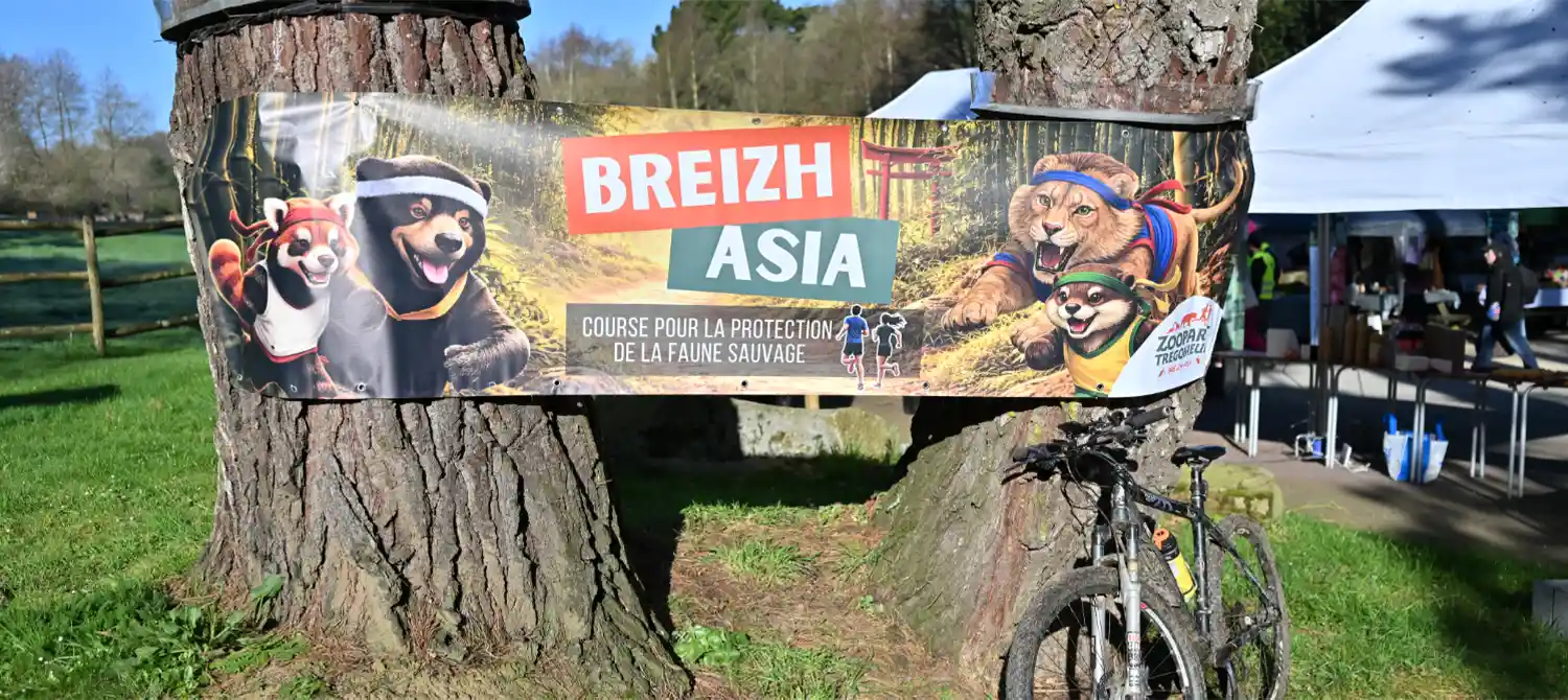 Banderole de la course Breizh Asia pour la protection de la faune sauvage, fixée à un tronc