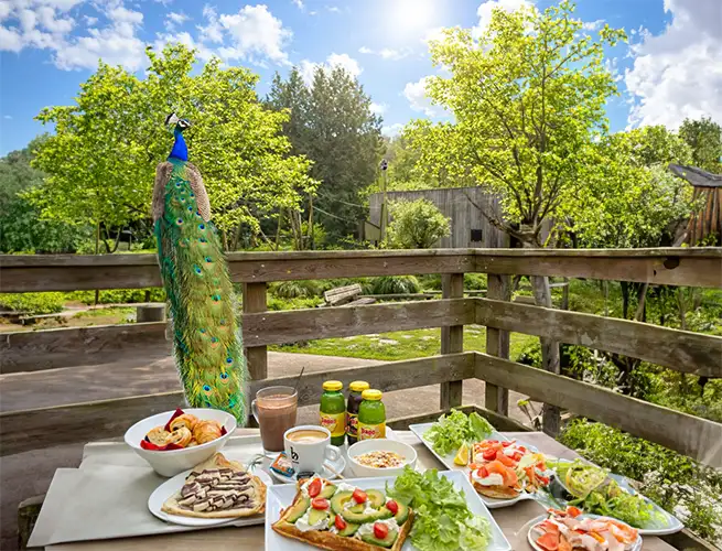 Brunch servi sur une table en bois avec un paon perché sur la rambarde, sous le soleil