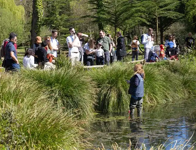 Visiteurs rassemblés au bord d'un étang et d'herbes hautes, une soigneuse dans l'eau en bottes