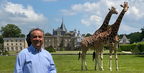 Man in a blue shirt in front of two giraffes and a castle in a park