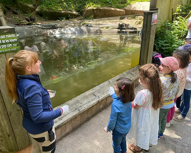 Soigneuse et enfants observant l'intérieur d'un bassin vitré lors d'un anniversaire au ZooParc