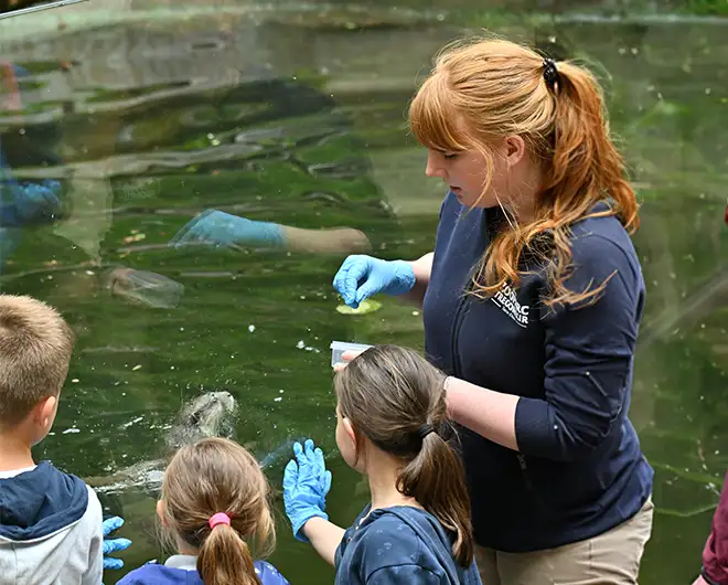 Soigneuse en gants bleus nourrissant un animal dans un bassin devant des enfants en visite
