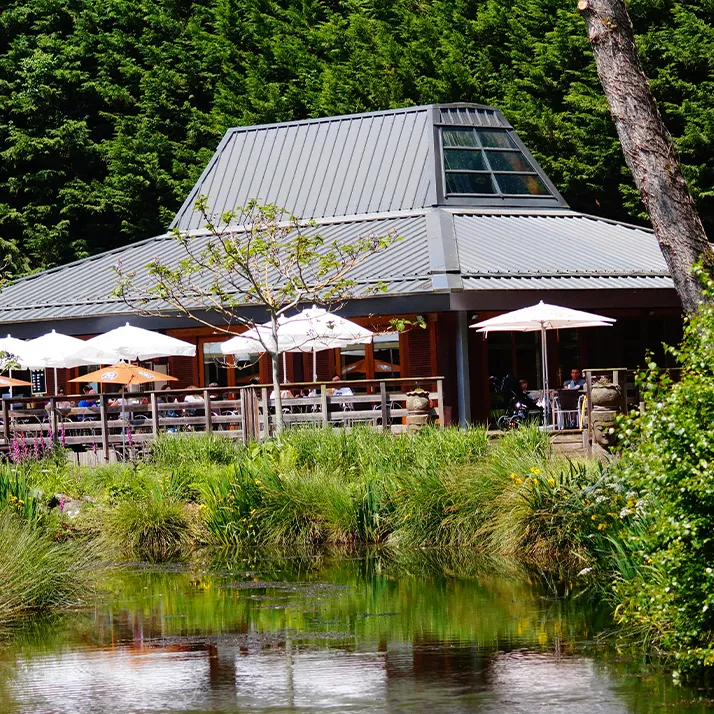 Restaurant du ZooParc de Trégomeur et sa terrasse aux parasols, reflétés dans l'étang