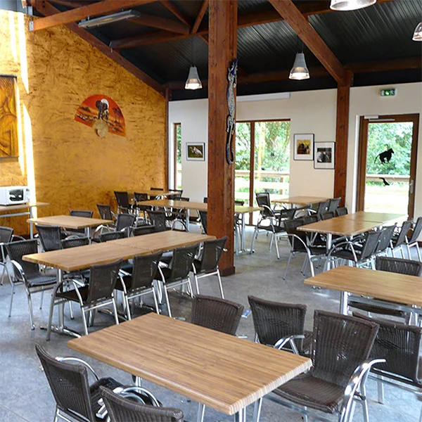 Salle intérieure du restaurant avec tables en bois, chaises grises et charpente apparente