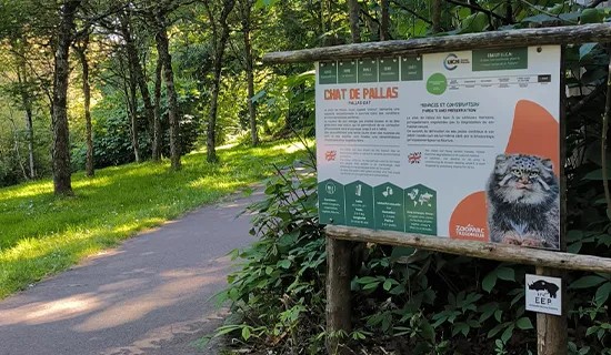 Illustrated educational panel alongside a park pathway