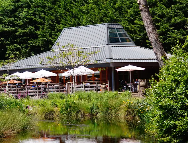 Brunch en Terre d&rsquo;Asie