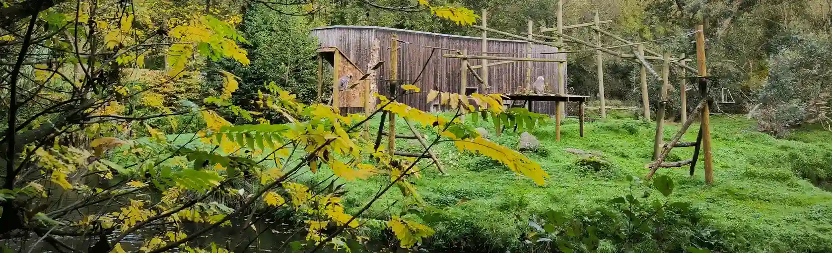 Prairie verte avec un abri en bois à l'arrière-plan, derrière un feuillage jaunissant d'automne