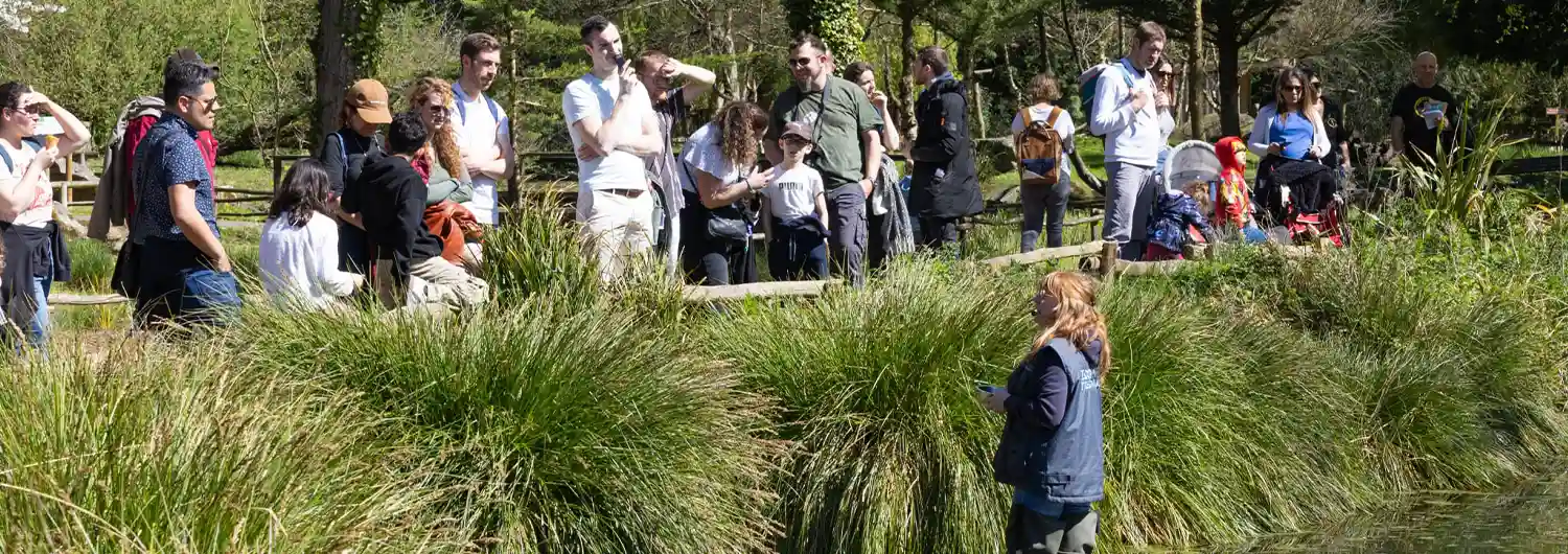 Visiteurs rassemblés au bord d'un étang et d'herbes hautes, une soigneuse dans l'eau en bottes